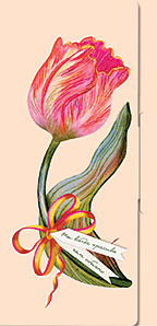 Конверт для денег