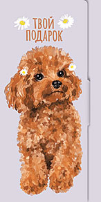 Конверт для денег