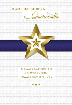 В день защитника Отечества 